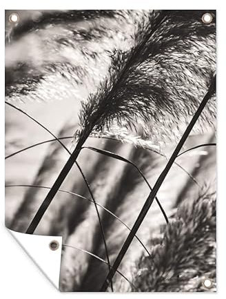 MuchoWow Poster exterieur Herbe de la pampa - Noir - Blanc - Plante Decoration murale 60x80 cm Résistant aux intempéries/soleil
