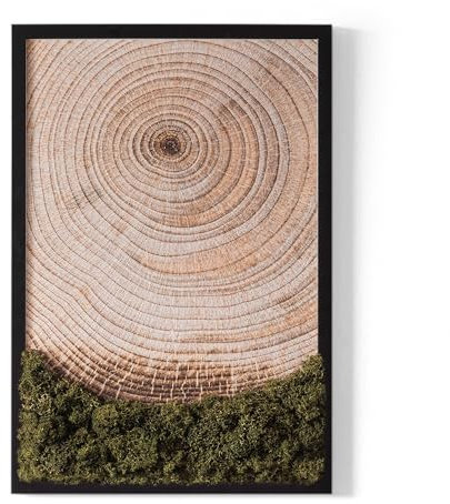 Tulup 40x60 cm Schwarzer Rahmen Wandbild Mech Schöne Heimdekoration MDF-Rahmen Moos-Paneel - Holzmaserung