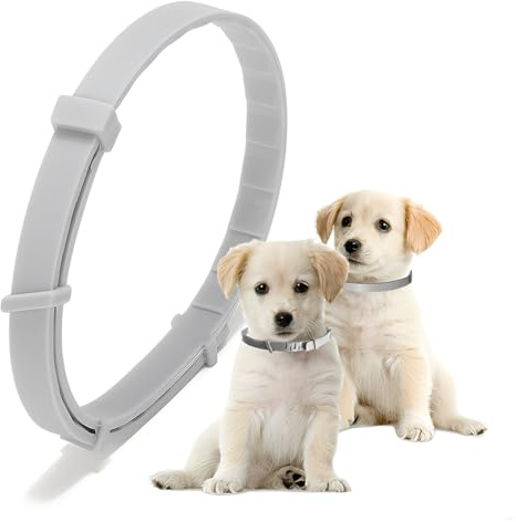 QOCUILC Zeckenhalsband Hund 2 Stück Grau + Leuchtend im Dunkeln Flohhalsband Hund Wasserdicht Verstellbar 69cm Schutz gegen Flöhe Zecken Larven Parasiten 8 Monate Wirksamkeit