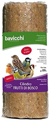 CILINDRO AI FRUTTI ROSSI 850GR CIBO UCCELLI SELVATICI
