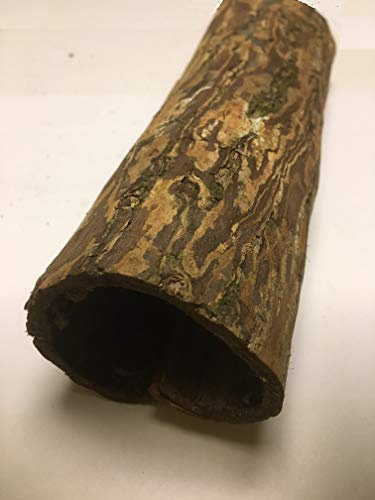 Höhle Seemandelbaumrinde ca. Ø 5cm x 20 cm lang (Catappa Barks Cave/Tube - Welshöhle) Aquarium Deko Aquaristik Naturprodukte - natürliche Aquarium Dekoration