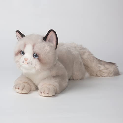 20 Pouces Gris Ragdoll Chat Peluche Jouets Poupées, Mignon Jouet en Peluche Fait À La Main Ann Baker Chat Cadeaux d'anniversaire Présents pour Garçons Et Filles
