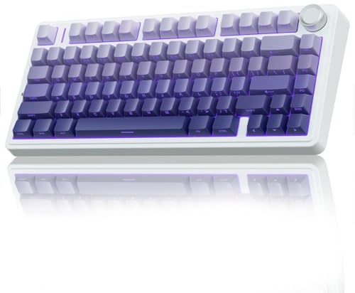 AULA F75 75% Wireless Mechanical Keyboard,2.4Ghz/Type-C/BT5.0 Gaming Keyboards,Advanced Structure,Side Engraved,RGB Backlight,Hot Swappable Custom Keyboard for PC/Mac (Purple)