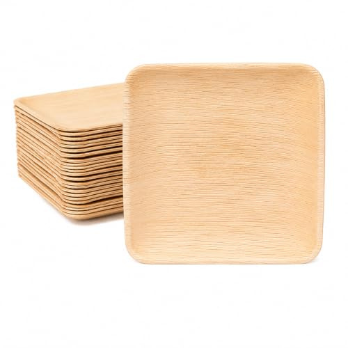 BOX And Tree|100 Assiettes Jetable en Feuille de Palmier Carrées 20x20cm | Alternative aux Assiettes en Plastique | Aspect Bois Naturel, Style Bambou | Pour Buffet, Mariage, Anniversaire et Réception