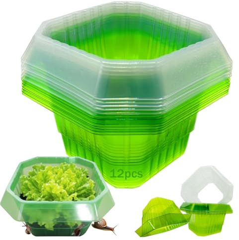 Ulinca Schneckenkragen,Schneckenschutz,Schneckenzaun,Schneckenschutzringe,Wetterfest und Langlebig,Schutz für Salat Schützt Pflanzen vor Tierfraß,Transparent & Grün