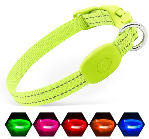 Illumifun LED Hundehalsband, Aufladbares Leuchthalsband für kleine Hunde, Sicherheitsleuchten für nächtliche Spaziergänge (Grün, XS)