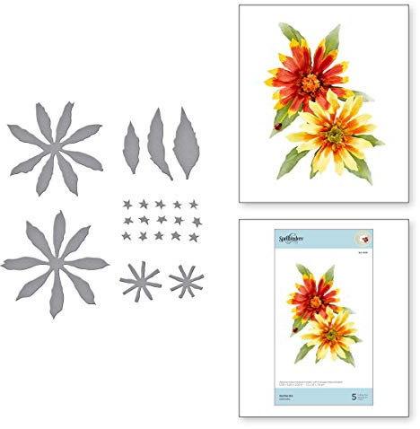 Spellbinders Etched Dies Tierney-Cockburn-Gaillardia-Susan's Autumn Flora, Metal, 1