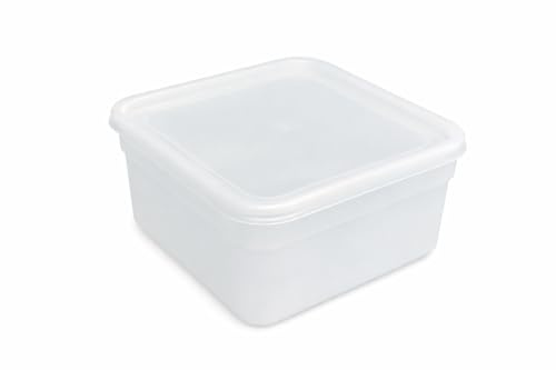 AC ACME Food Safe 2 Litre Square Ice Cream Container Tub with lids/Plastic Food Storage Container with Lids (10)