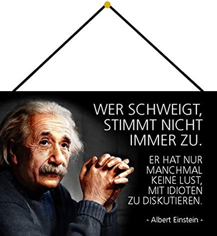 Blechschild mit Kordel 30 x 20 cm Albert Einstein: Wer schweigt stimmt Nicht Immer zu. Er hat nur manchmal Keine Lust, mit Idioten zu diskutieren. - Blechemma