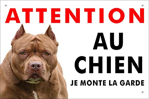 Pubblimania PITBULL Schild Vorsicht vor dem Hund aus starrem Aluminium, Stärke 3 mm (Pitbull 30 x 20)