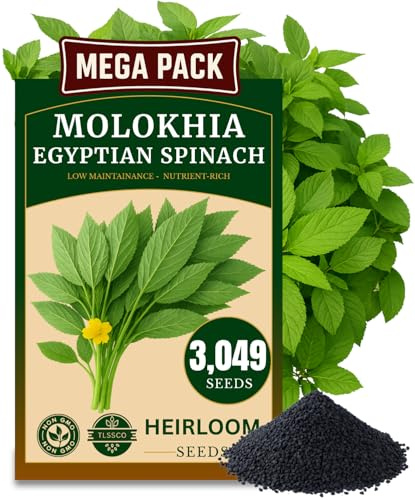3000+ USA Premium Egyptian Spinach Seeds (Molokhia), Non-GMO Seeds, Fast-Growing, Low Maintainance, Nutrient-Rich & High-Yield – Heirloom Seeds