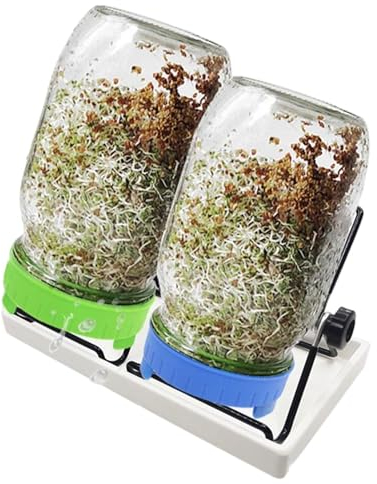 Moreeulsi Komplettes Mason Jar Sprouting Kit, Edelstahl-Küchenkeimdeckel und -ständer Saatkeimset, Organisches, gesundes, frisches Weithals-Einmachglas für Brokkoli, Alfalfa, Mungobohnen