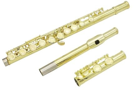 Professionelle Querflöte 16 Geschlossene Löcher Flöte C-Tonart Professionelle Silberflöte Konzertmusikinstrument Flötenbox Stoffstab Handschuhe Teile(Gold B)