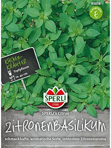 Basilikum Zitronen, SPERLING´s Citrus