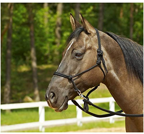 WILDHORN Knotenhalfter Ringe, WB/KB, schwarz