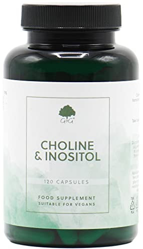 Choline & Inositol Capsules | 250mg Choline (Bitartrate) & 250mg Inositol per Capsule | 120 Vegan Capsules | G&G Vitamins
