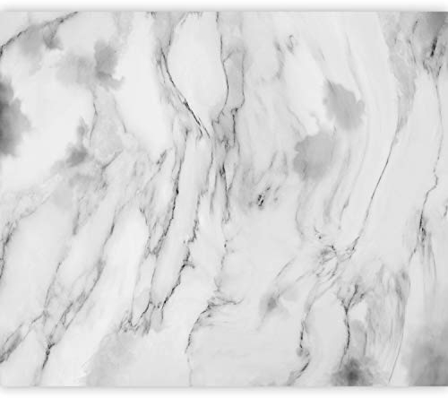 murando - Vlies Fototapete Steinwand 400x280cm Foto Tapete Schlafzimmer Wohnzimmer Vliestapete XXL Motivtapeten Bildtapete 3d Effekt Wand Dekoration - Marmoroptik 3D Effekt weiß grau f-C-0460-a-a