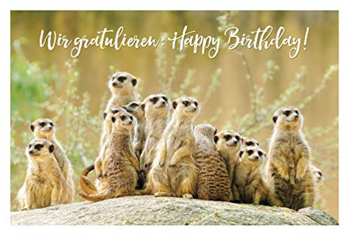 bsb - Glückwunsch Karte zum Geburtstag 11,5 x 17,0 cm - hochwertige Geburtstagskarte mit Umschlag - schöne Geburtstagskarten für Kinder/Frauen & Männer - Happy Birthday Karte mit Erdmännchen
