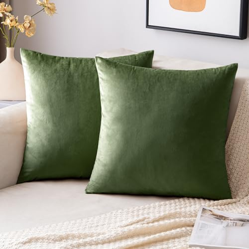 EMEMA Kissenbezug 40x40 Samt Dekokissen Matcha Grün Kissenhülle Sofakissen Dekorative Pillow Case Home Decoration Lendenkissen Wurfkissenbezug Sofa Wohnzimmer Schlafzimmer 2er Set