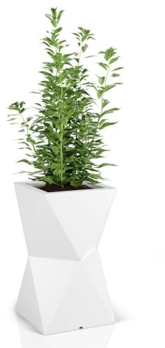 FORVEGA, Valencia hoher Blumentopf ohne Ablage, modernes Design, langlebig, Frost- und UV-beständig, Polyethylen, weiß, 70 cm