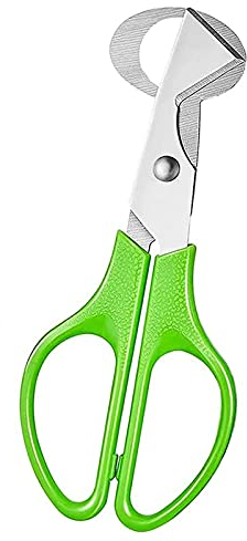 iZhuoKe Tijeras de acero inoxidable para abrir y cortar Cáscara de huevos de codorniz y Otros