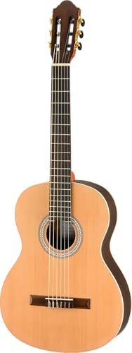 Walden Chitarra per concerti, top massiccio, finitura satinata, con custodia, modello speciale N430-S1W
