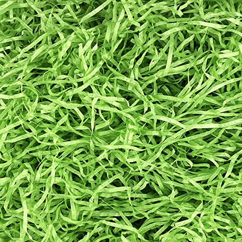 Dolkoic 500g erba verde pasquale erba rafia pacchetto grande carta riciclabile verde per regalo di Pasqua cesto riempitivo decorazione festa di Pasqua avvolgimento cestino riempimento