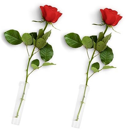 CAXUSD 100St Halter für Blumenröhrchen Bulk-Vasen Ikebana-Vasen Blumenhalter klare Blumenröhre Wasserschlauch Pflanzenständer Wasserrohr Blumenrohr Rose Halterung Blumenkästen