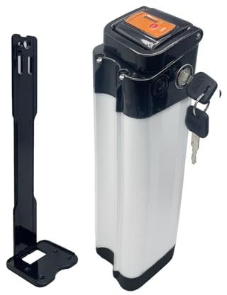 ZHIKAN Batería para Bicicleta eléctrica 24 V 10,4 Ah/15,6 Ah/18,2 Ah Batería de Iones de Litio Silverfish con Cargador Compatible con Phylion, Rex, Zhenlong/ZL07010-F (24V 18.2AH Avec Chargeur)