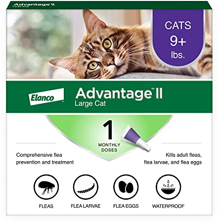 Advantage II Large Cat Vet-Recommended Flea Treatment & Prevention | Cats Over 9 lbs. | 1-Month Supply