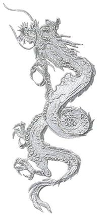 TGBYHU 12 * 24 cm Gold-Silber-Drachen-Patch zum Aufbügeln, bestickte Applikation, chinesisches Aufnäher-Abzeichen und Aufnäher zum Aufnähen für Bastelarbeiten
