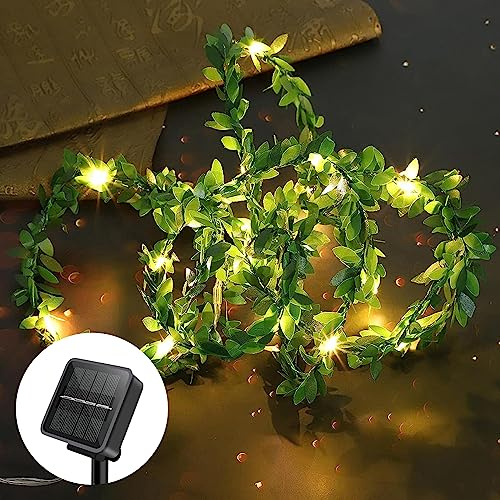 himmel Solar Lichterkette Aussen,Solar Lichterkette 100LED 10M/32Ft 8 Modii,Wasserdicht Solarlichterkette,Lichterkette Außen für Hochzeit, Zaun, gartendeko für draußen (Buchs-Girlande, 10M)