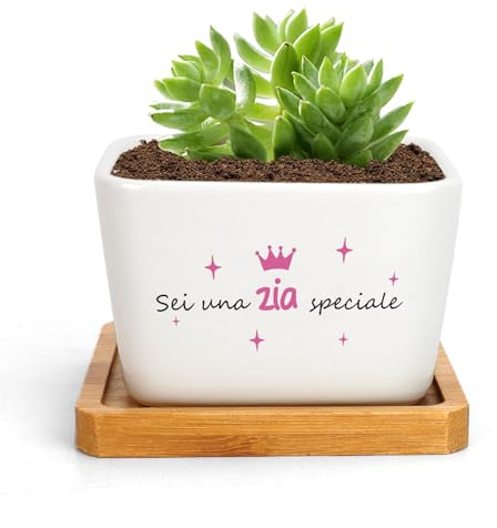 Regalo Zia Vaso Per Pianta Regali Zia Regalo Per Zia Regali Festa Della Mamma Zia Compleanno Natale