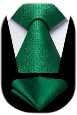 HISDERN Corbatas Verde Hombre Modernas Corbata y Pañuelo de Boda Conjunto Corbatas de Business