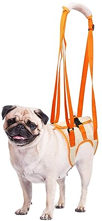 Hundegeschirr, Tragehilfe Hund Hinten, Dog Lift Harness Tragbarer Hebeband-Tragegurt Helfen Sie Hunden Mit Schwachen Hinterbeinen, für Verletzte Behinderte Kleine, Mittlere und Große Hunde(Größe M)