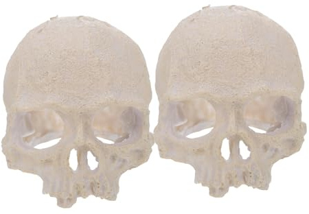 HAPINARY 2 Stück Resin Aquarium Ornament Totenkopf Deko für Fischbecken und Terrarium Langlebiges Farbechtes Skelett Versteck Vielseitige Halloween Deko für Aquarium Zubehör und