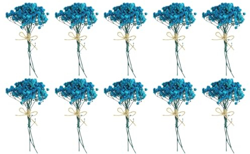 PATIKIL Mazzo di Fiori Secchi Mini, 10pz Gisofila Naturale con Stelo Decorazione Floreale Boho Pianta Fiorita per Artigianato Fai da Te Regalo Decorazione Matrimonio, Blu