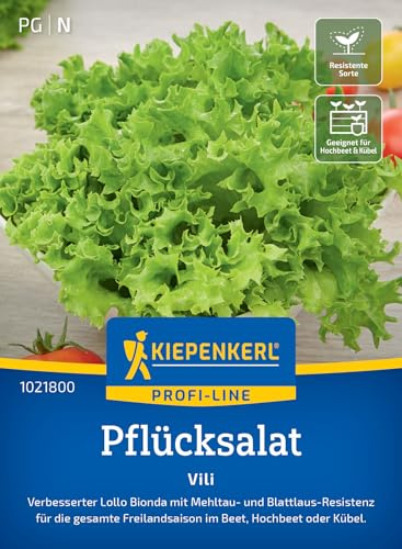 Kiepenkerl Pflücksalatsamen Vili 1021800, Gemüsesaat | Anbausicherer Lollo-Bionda Salat mit nussigem Geschmack, Höhe 8-10 cm, für Beet, Hochbeet & Freiland