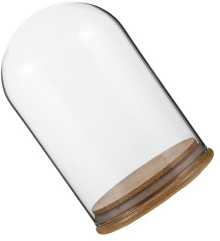 Healeved Vitrina Expositora de Campana Decorativa de Vidrio con Base para Flores Preservadas Protección contra Polvo para Manualidades y Decoración Bodas y Fiestas