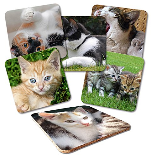 ADDIES Glas-Untersetzer 6-TLG.Set Bedruckt Katzen-Motive-01 in hochwertiger Klarsicht-Geschenkbox und Korkrückseite, Tier-Motiv