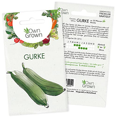 Gurken Samen: Gurken Saatgut für ca. 20 Gurken Pflanzen – Gemüse Samen – Samen Gemüse – Gemüse Pflanzen Samen für Gemüse Anzucht – Gurke Samen – Gurkenpflanzen für Gewächshaus – OwnGrown Salatgurken