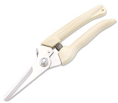 Spacmirrors 17 Centimetri Potatore Albero Cutter Giardinaggio Potatura Cesoie Forbici in Acciaio Inox Utensili da Taglio Set Attrezzi per La Casa Antiscivolo