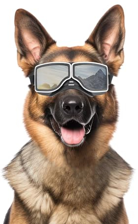 NAMSAN Hundebrille UV-Schutz, Winddicht, Staubdicht, mit Verstellbarem Riemen, für Mittlere bis Große Hunde - Silber
