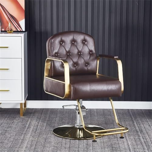 WSNCXFW D,Heb- und drehbarer Friseurstuhl, hydraulischer Friseurstuhl, ergonomisches Rückenlehnendesign, 360 ° drehbarer professioneller Hochleistungs-Salonstuhl, für Beauty Spa & Barbershop