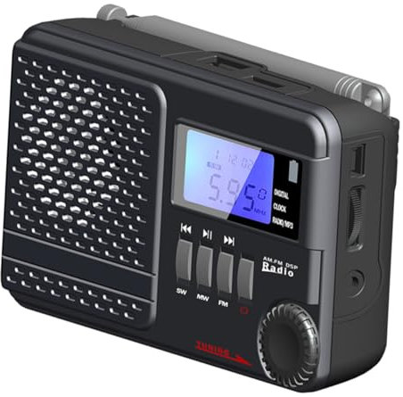Radio FM Numérique Portative à Double Canal en Plastique Noir 800mah