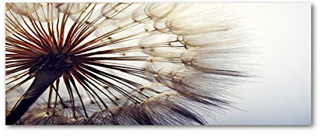 Tulup Glas-Bild Wandbild aus Glas - Wandkunst - Wandbild hinter gehärtetem Sicherheitsglas - Dekorative Wand für Küche & Wohnzimmer 125x50 - Blumen & Pflanzen - Pusteblume - Weiß