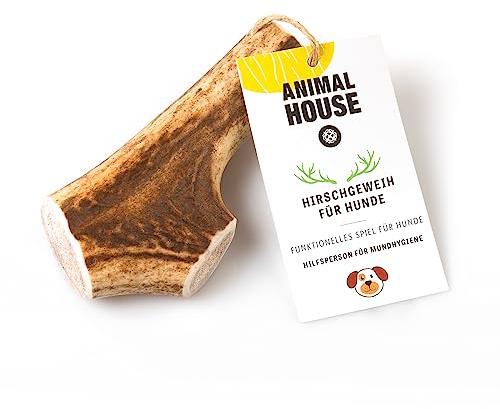 Animal House - Corna di Cervo per Cani Intere - Masticativo Naturale al 100% - Rafforza Igiene Orale - Resistenti e Duraturi - Disponibili in Tutte Le Taglie - Cruelty Free (L)