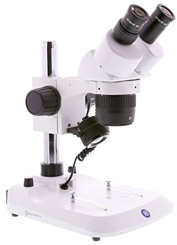Lupe Binokular Euromex StereoBlue 20 – 40 x 1402 P