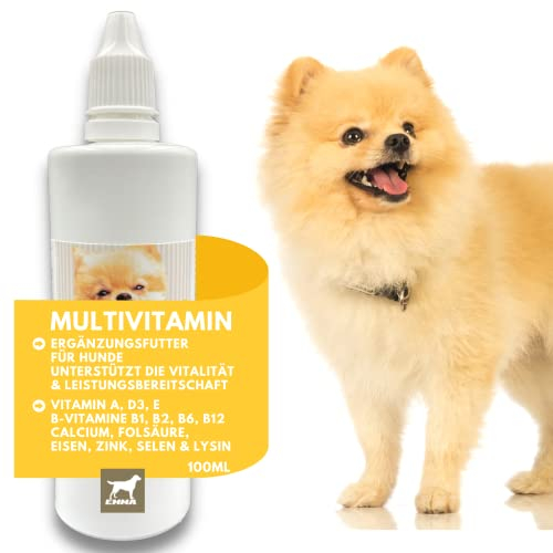 Multi Vitamin B Komplex Hund I Vitamine für Hunde 100ml I Vitamin B hochdosiert für Hunde mit B Vitamine Vitamin A B12 C E I Vitalität für Senioren Welpen Vitamin-Booster Immunsystem stärken Hund