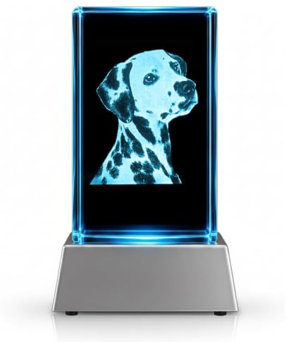 Kaltner Präsente Stimmungslicht - Ein ganz besonderes Geschenk: LED Kerze/Kristall Glasblock / 3D-Laser-Gravur / 3D Hunde Nachtlicht/Dalmatiner/Hunde Skulptur/Hunde Figur